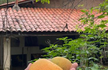 Sítio na Serra de Mulungu - Foto 4