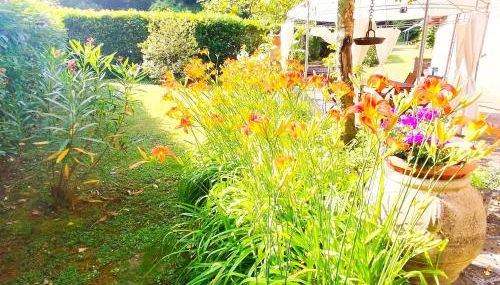 Casa Vacanze IL BOSCACCIO "Casa Massimo" - Foto 2, Garden, Garden view