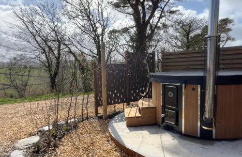 Fern, Moor and Sea Holidays, stunning views over Exmoor near the sea - Foto 9