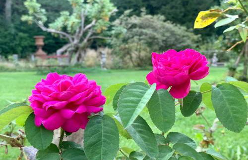 Rosengarten - Foto 33