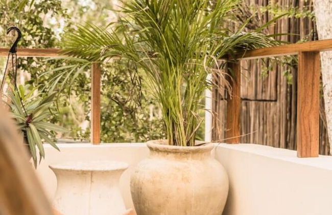 Deep in the Jungle House - Foto 20