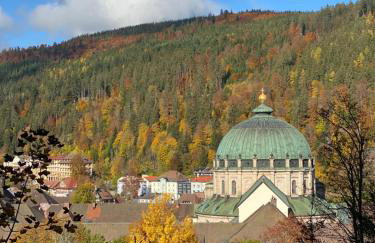 No 19 in the Black Forest - Foto 38