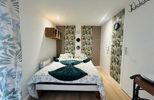 Casa Tropical - Photo 6