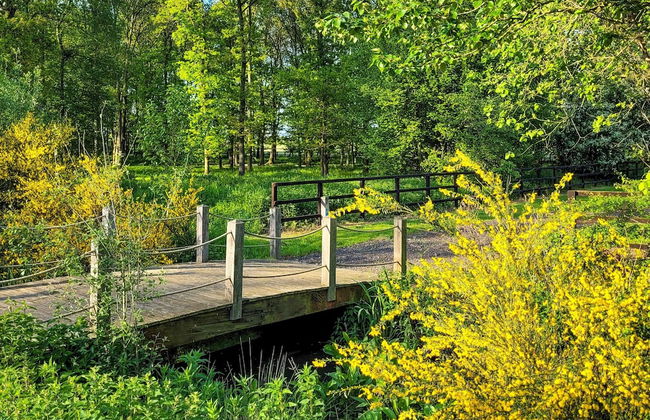 Hay's Wood Retreat - Foto 47