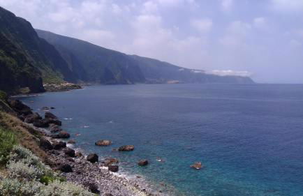 Ape Esquerdo - Foto 37