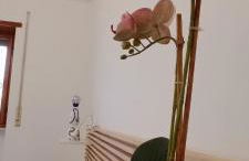 Casa Pereira - Foto 38