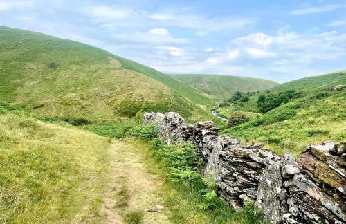 Winstitchen Cottage situated near the River Barle - Foto 41