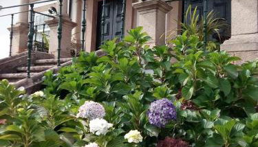 Casa de Sta Comba - Foto 3