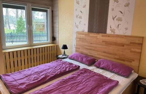 Ferienhaus Seeblick, Schönberg - Foto 8