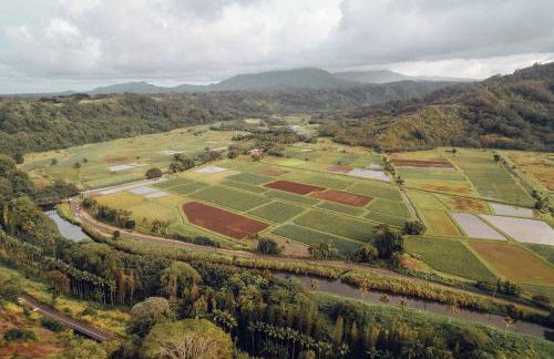 Banyan Harbor Resort - Foto 53