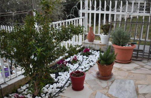 Panorama Γλυκά Νερά - Athens - Foto 24