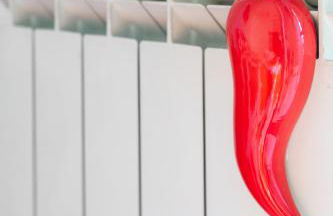 Augusto 42 Apartments By Dimorra - Photo 8