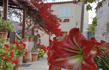 Tonia's Cottage - Foto 24