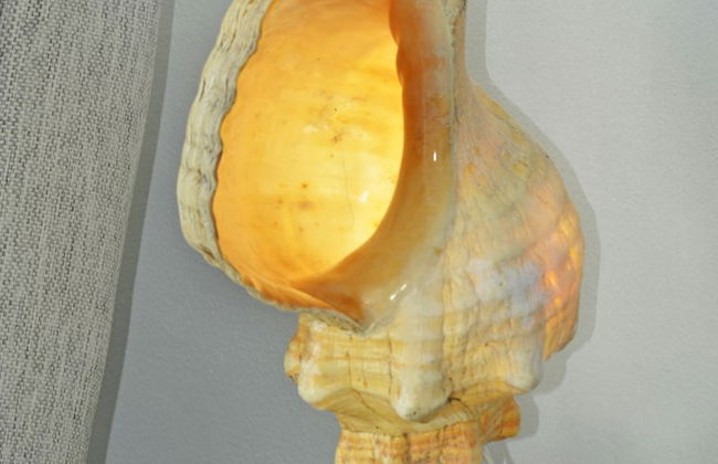 Amigo Rental Isla Mujeres - Foto 41