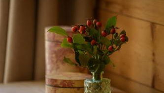 Altes Forsthaus - Fewo "Wiesental", privater "Spa" mit Sauna, Wanne und Relaxliegen, Todtnau- Feldberg - Foto 5