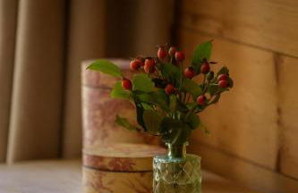 Altes Forsthaus - Fewo "Wiesental", privater "Spa" mit Sauna, Wanne und Relaxliegen, Todtnau- Feldberg - Foto 5