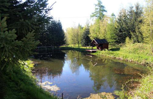 Hlebówka siedlisko w Sudetach - Foto 14