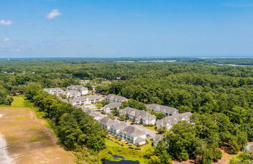 Scotch Broom I-102 - Foto 24