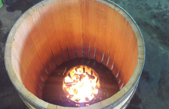 Visite du domaine Finca Torremilanos - Photo 9