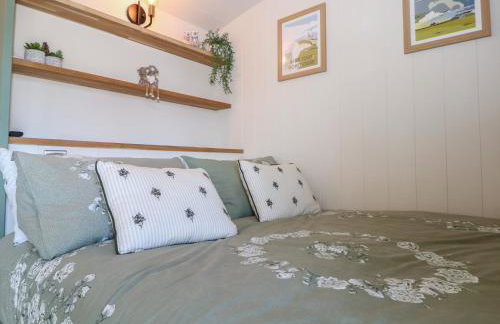 Salthaven Shepherds Hut - Foto 11