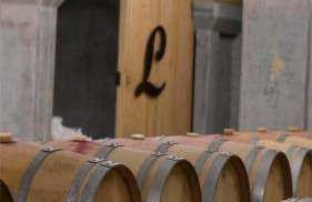 Domaine du Château Larroque - Foto 11