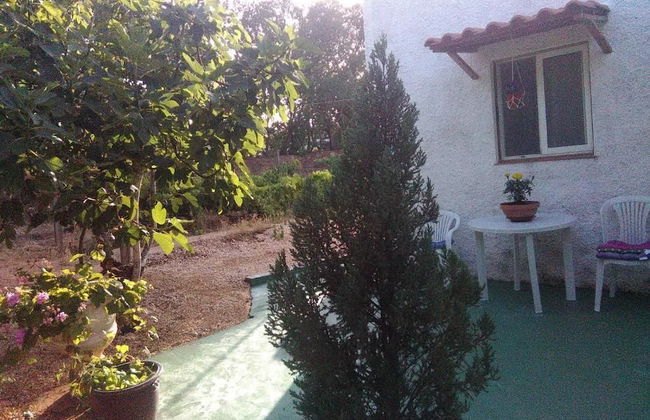 Nature Houses - Foto 25