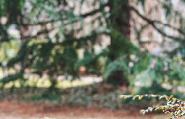 Quiet apartment Place Marine center Maisons Laffitte - Foto 11