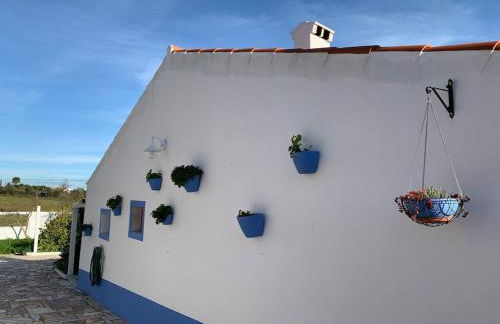 Casa dos Pécoxinhos - Photo 50