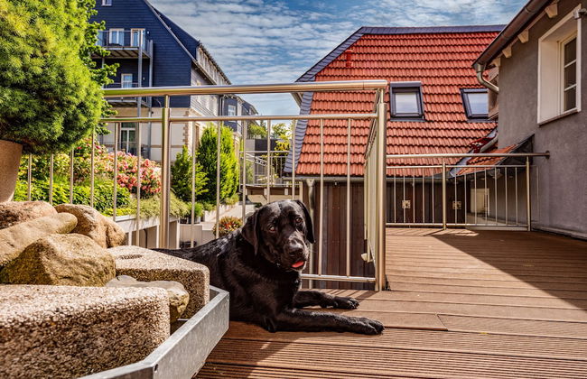 City Appartments Am Wall - Foto 62