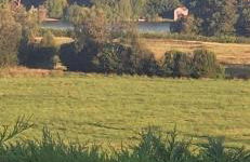 Tarnside Cottages - Foto 21