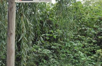 Apartamento "El Lilà" - Parking incluido - Foto 50