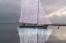 Entre dune et plage Les Jacquets Cap Ferret - Foto 12