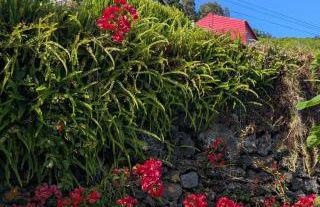 Casas do Horizonte - Photo 23