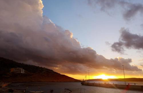 2Bfree Apartments - Photo 45