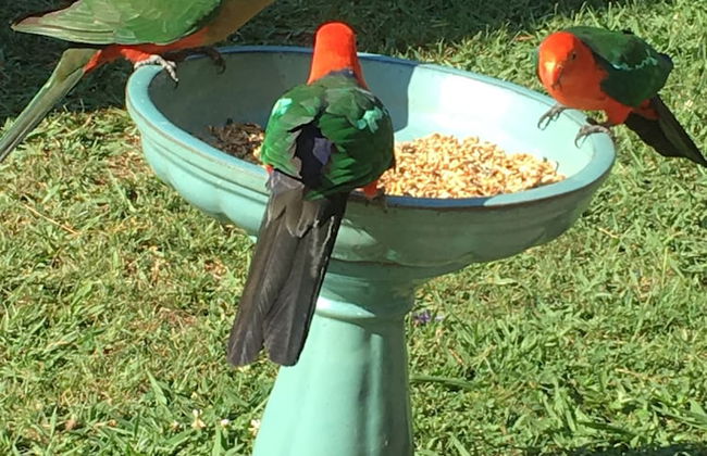 The Best Exotic Magnolia Cottage - Photo 16