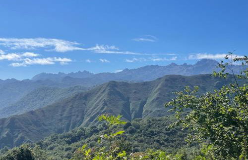Vete Polo Segau, Seguencu - Foto 15