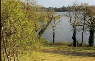 Bluebell lake house - Foto 21