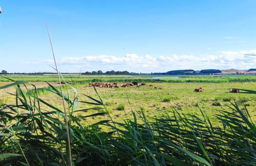 Strandhaus Alte Töpferei - Foto 78