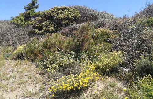 Gente di Mare Holiday House - Foto 36