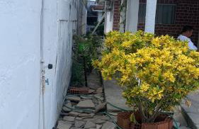 Casa em Praia Formosa - Foto 11