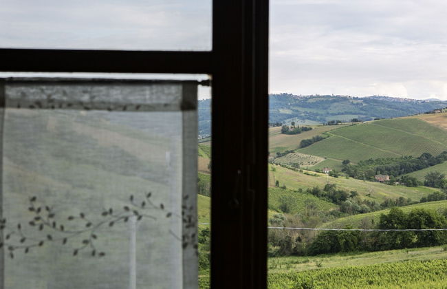 Farmhouse in Marche With Pool & Verdicchio Wines - Foto 39