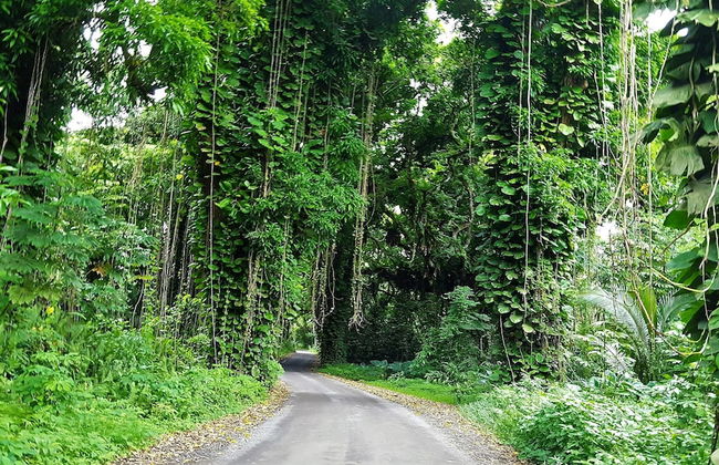 The Jewel Box 2 Bedroom Home by RedAwning - Foto 25