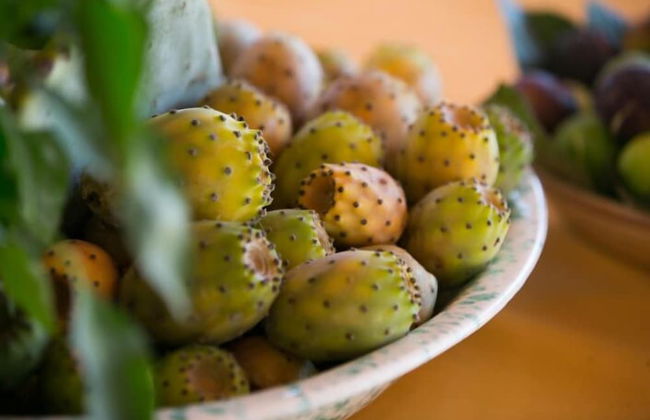 Agriturismo Regno di Marzagaglia - Foto 31