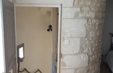 Vitis Vinifera - Foto 21