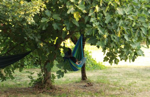 Casa Storica a Pennabilli in Valmarecchia - Foto 6