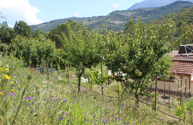 Ecolodge Selvitelle - Escape the Hectic and Submerge in the Nature of Cilento - Photo 16