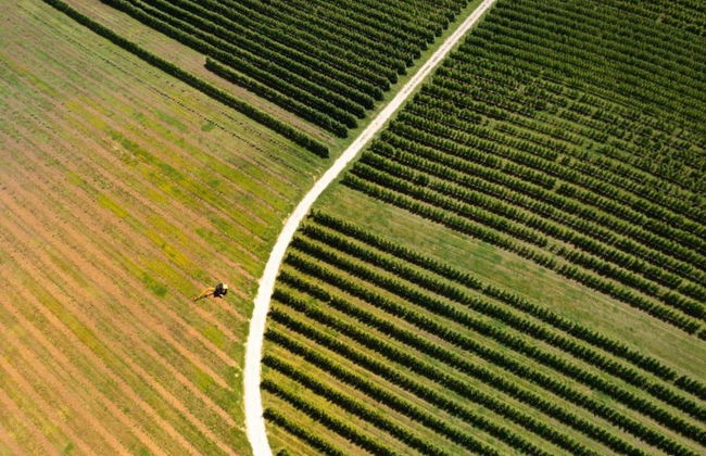 Modern Holiday Home With Pool - Foto 33