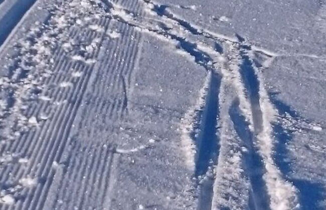 Daumler "house Am Weisswald" - Foto 11