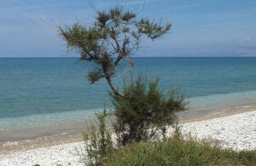 Frosos Beachfront Maisonette Acharavi - Foto 32