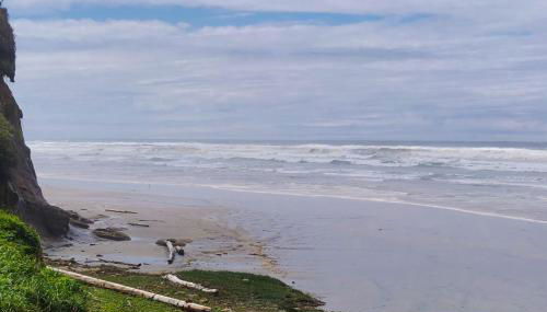 Abalone Rose - Photo 2